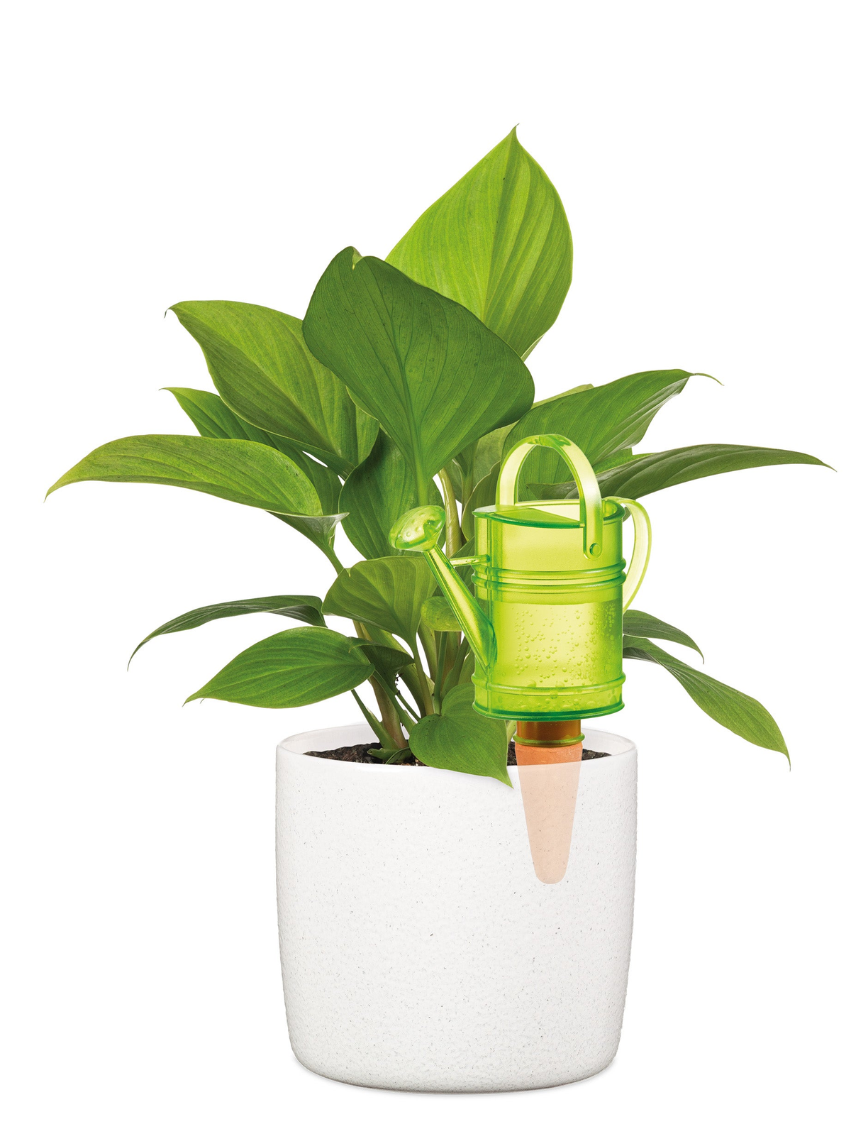 Green Nelly Water Reserve in potted plant, UV-resistant plastic, clay tip watering system.