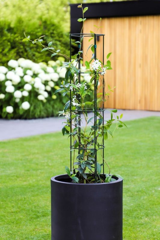 Plant Trellis, 1/2 Circle, 6&quot; L, 3&quot; W, 40&quot; H