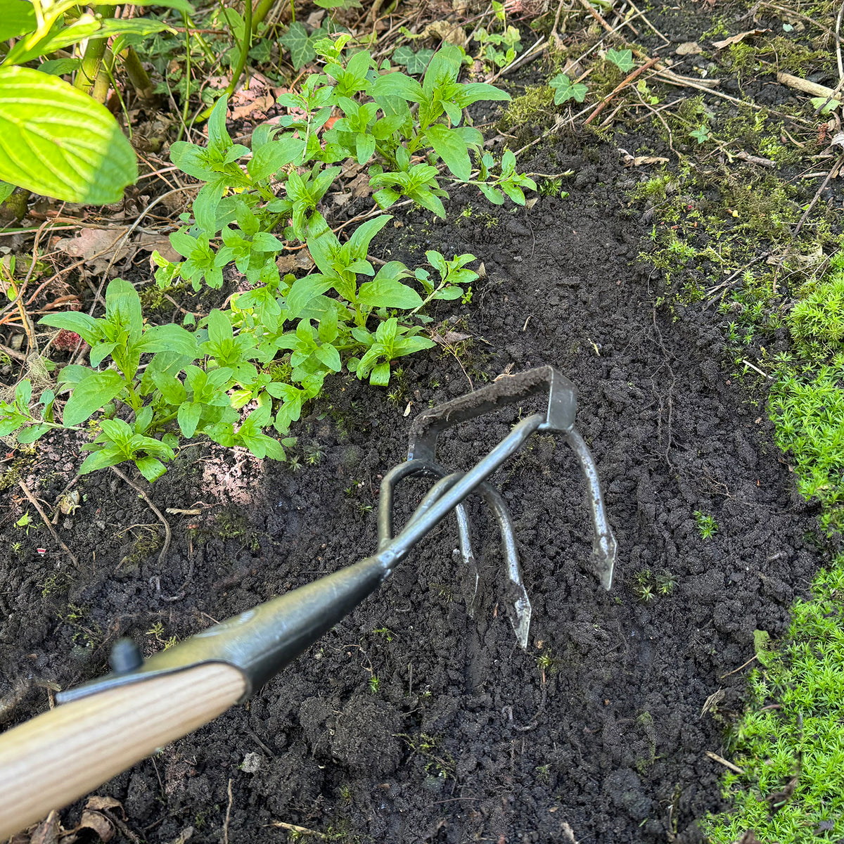 DeWit Long Handled Stirrup Hoe, Head: 6&quot;D x 4.8&quot;W; Total: 62.8&quot;L