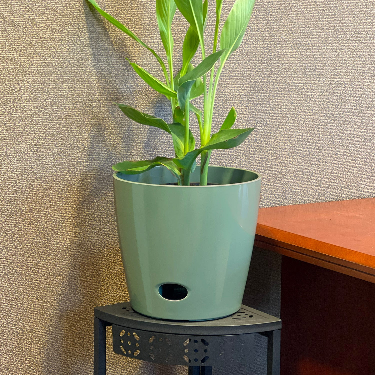 10&quot; sage green round bamboo self-watering plant pot, eco-friendly, biodegradable, indoor/outdoor use.