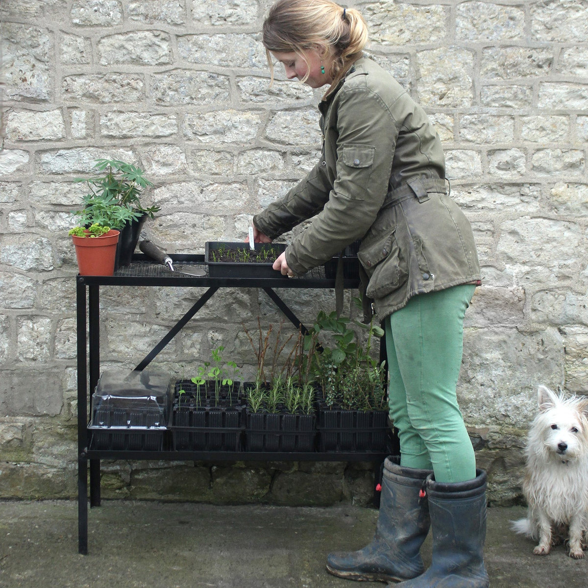 Haxnicks Rootrainer Racking Station with Deep Rootrainers for efficient plant care.