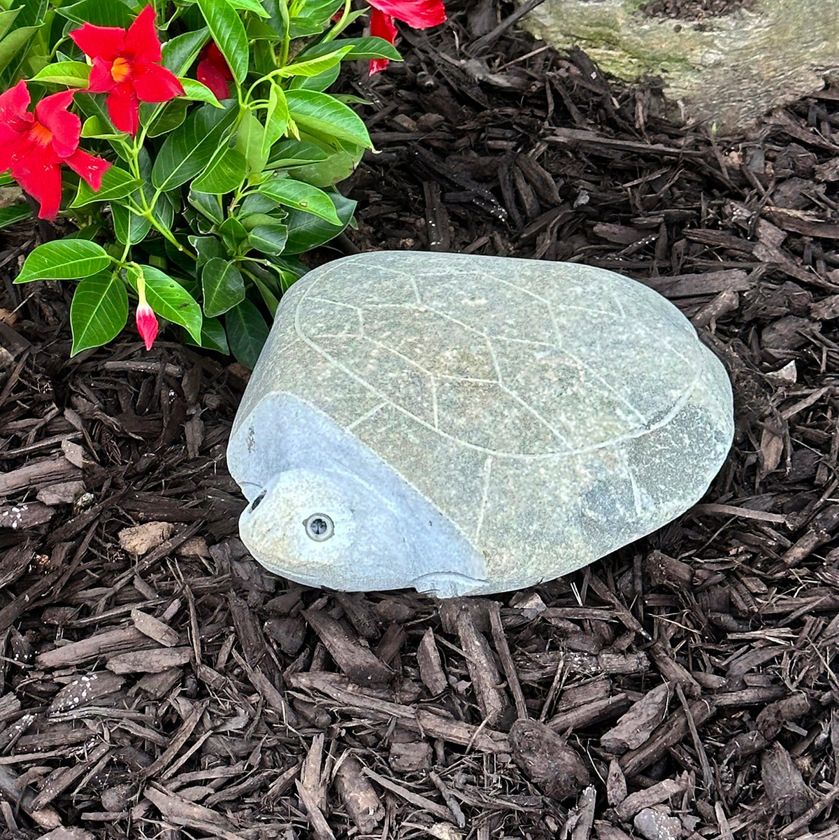 Hand carved natural granite 14-inch boulder stone turtle in garden setting.