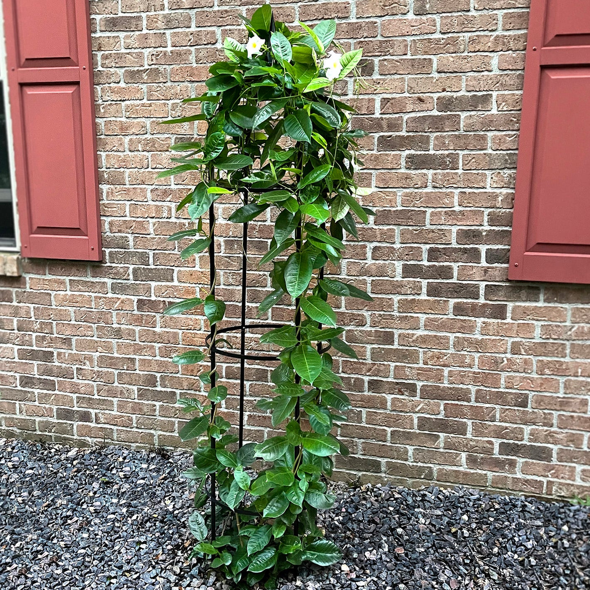 67&quot; steel obelisk with climbing plants against a brick wall in a garden setting.