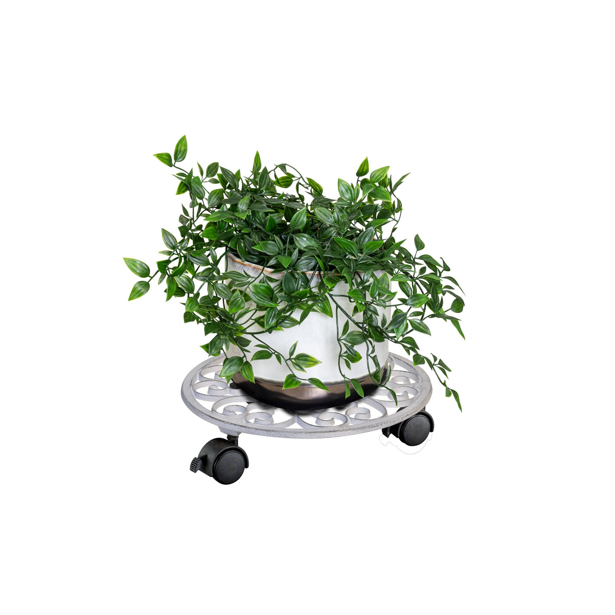 11.4&quot; white round cast iron plant caddy with brakes and plant on top.