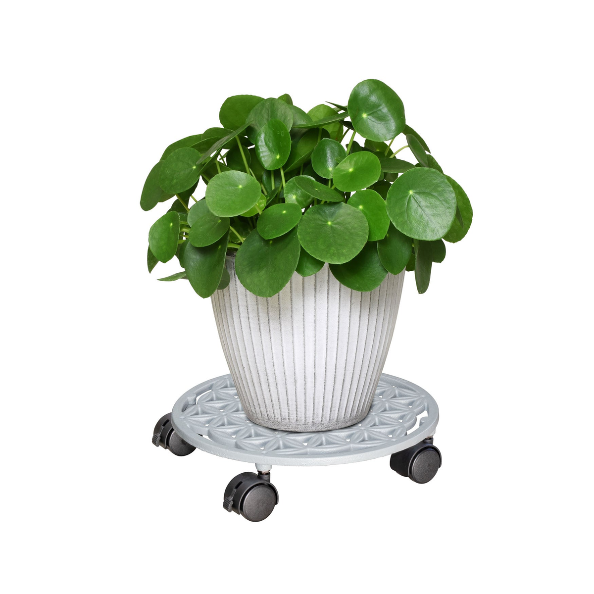 11.4&quot; smoke gray round cast iron plant caddy with brakes for indoor and outdoor use.