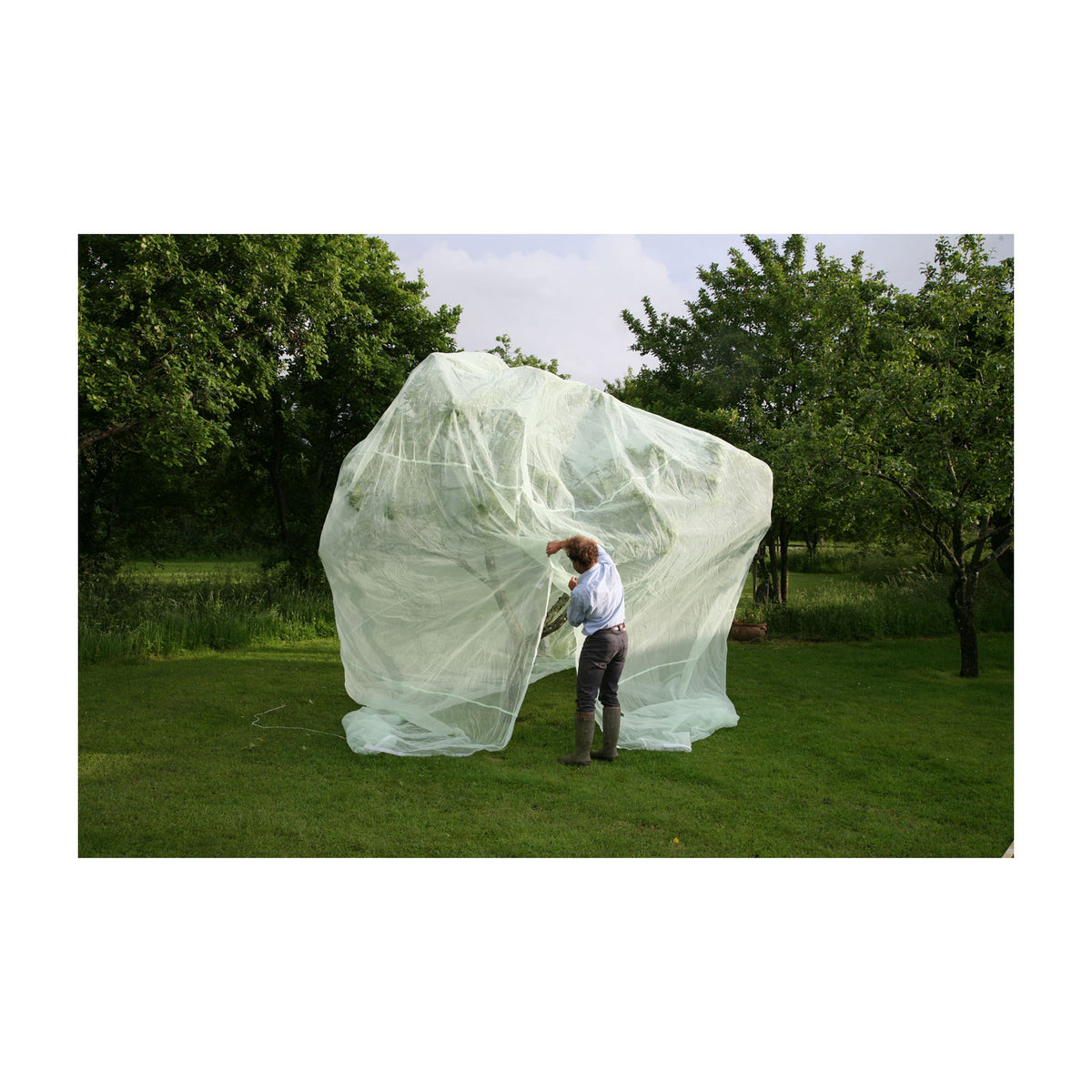 6.6&#39; x 6.6&#39; Fruit Tree Cover - Garden Your Way 