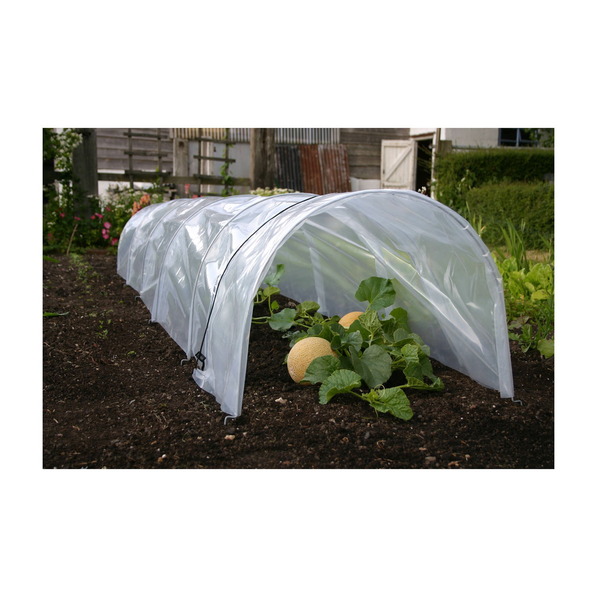 Giant Easy Poly Garden Tunnel for plant protection and soil warming, 118&quot; long.