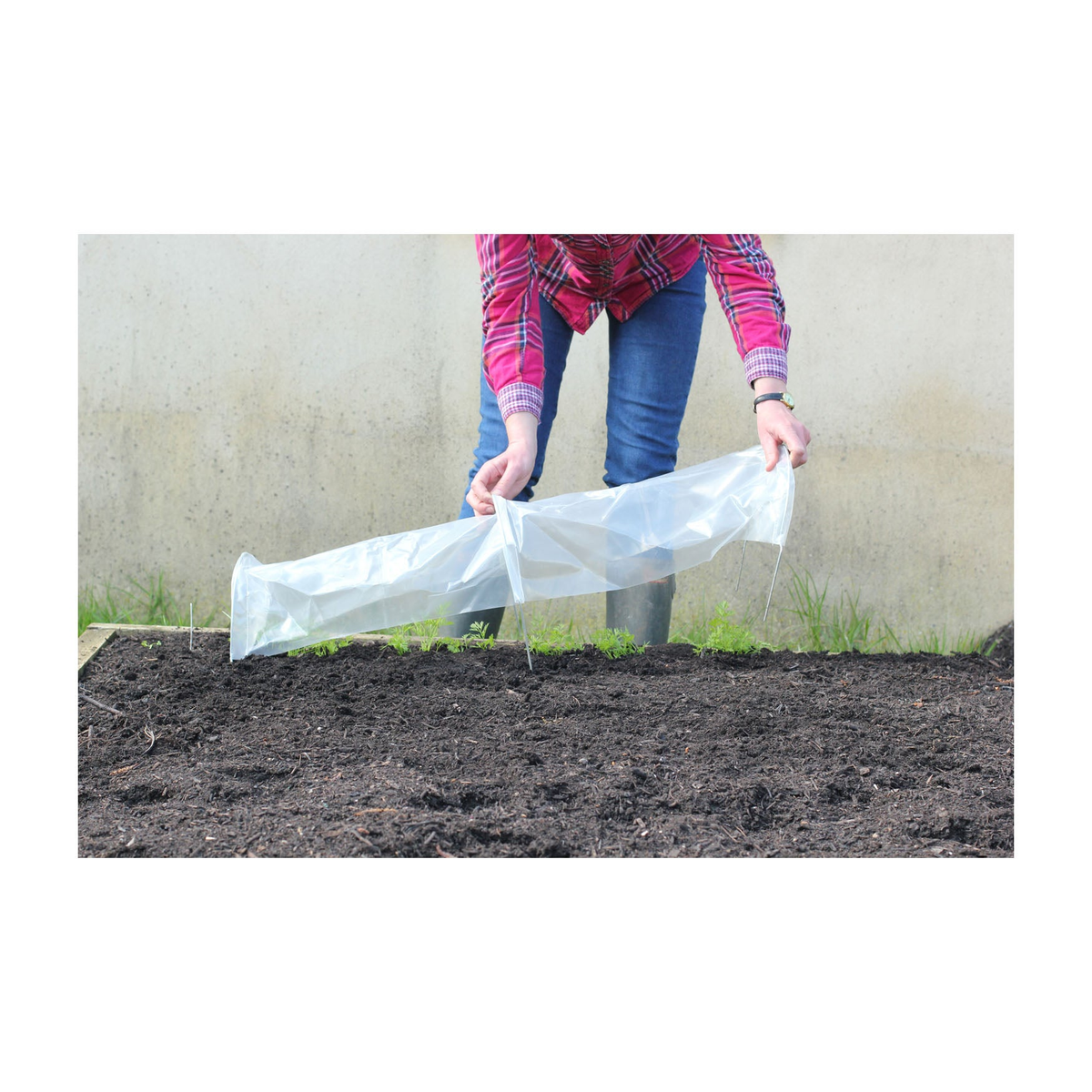 Seedling tunnel for plant protection with polyethylene cover and steel hoops, 31.5&quot;L x 7&quot;W x 4.7&quot;H, 3-pack.