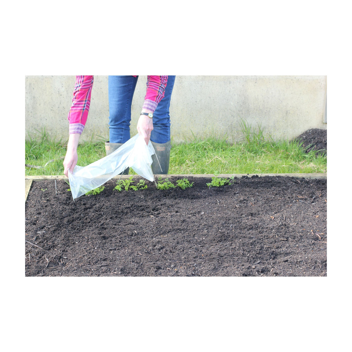 Setting up Easy Seedling Tunnel for garden bed protection against pests and weather.