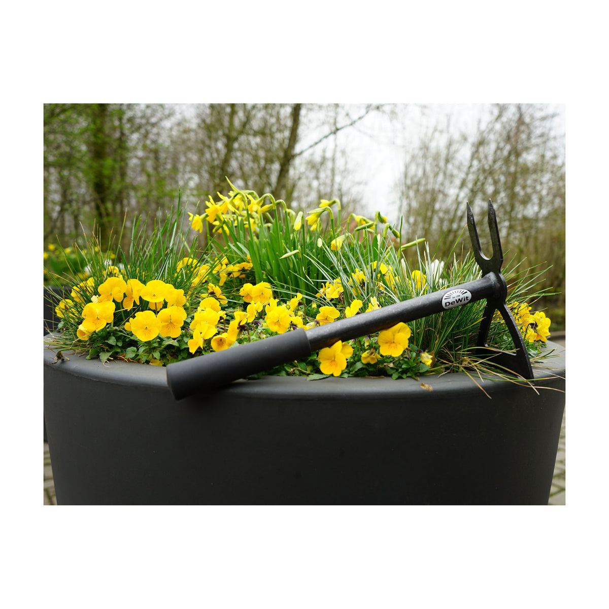 DeWit Comby Tool - 2-Tine Cultivator and Wide Edge Chopping Hoe, Head: 8&quot;L x 1.9&quot;W Total: 14&quot;L