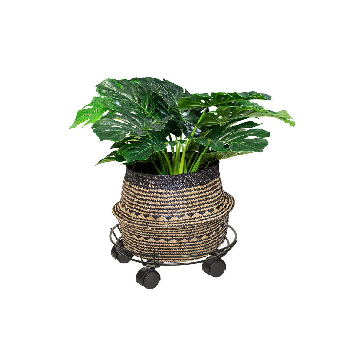 11.8&quot; black round wire indoor plant caddy with twin wheel casters and a potted plant.