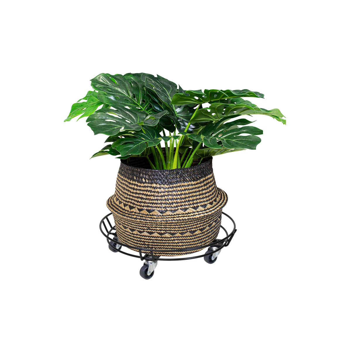 15&quot; Black Round Steel Wire Indoor Plant Caddy with caster wheels, holding a potted plant.