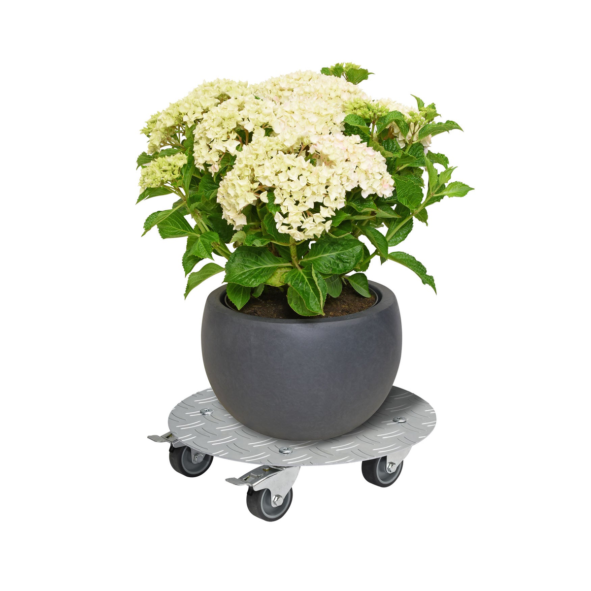 11.8&quot; silver round aluminum plant caddy with brakes holding a potted plant.