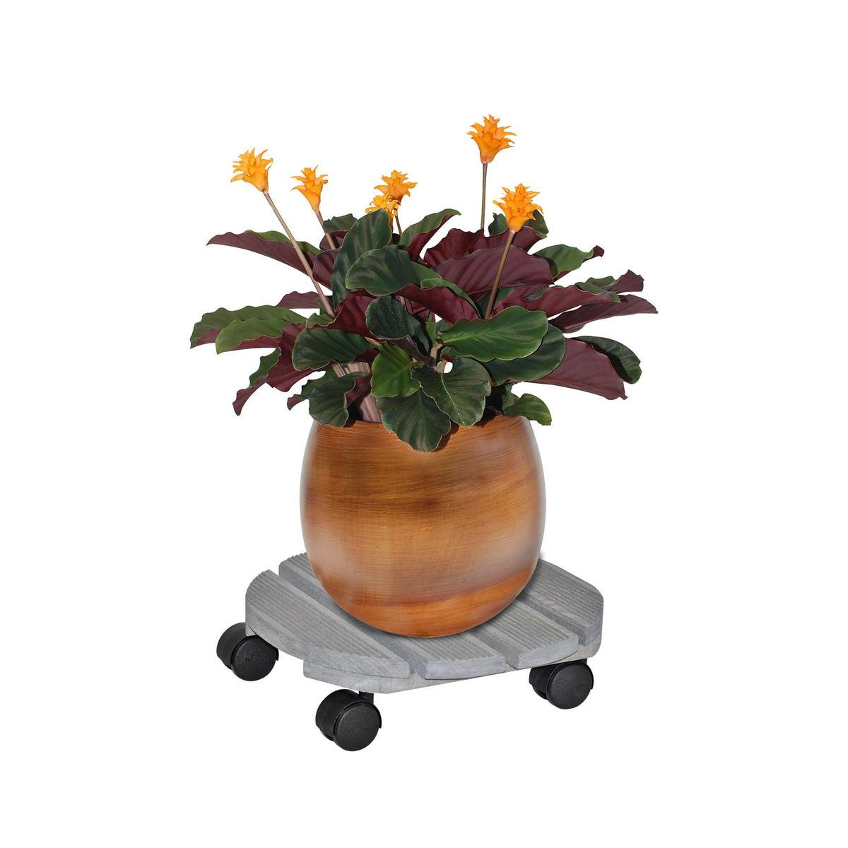 11.4&quot; gray round ribbed indoor plant caddy with plant, eco-friendly, durable beech wood design, on twin-wheel casters.