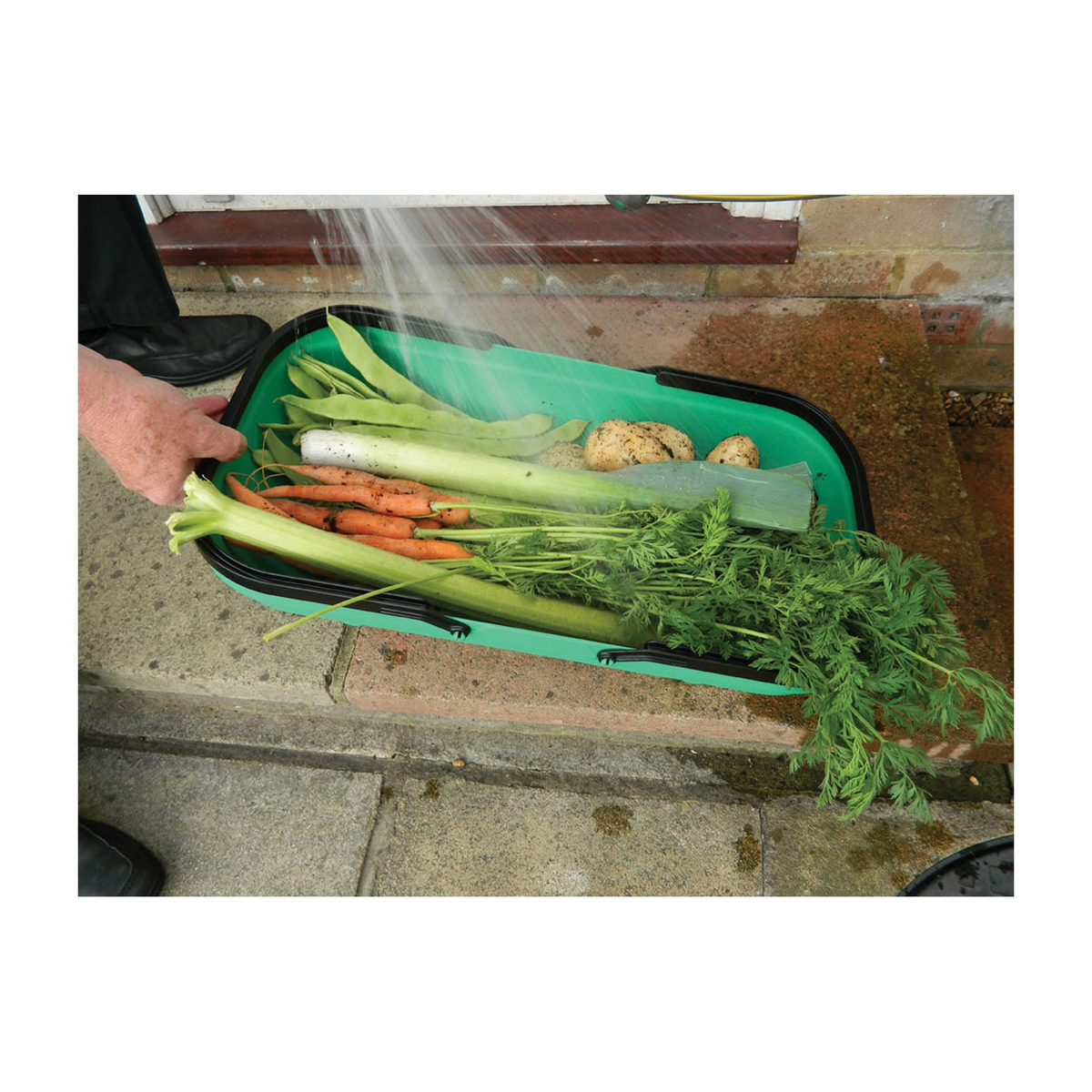 Green Colander Garden Trug with vegetables being washed, 22&quot;L x 12&quot;W x 5&quot;H.