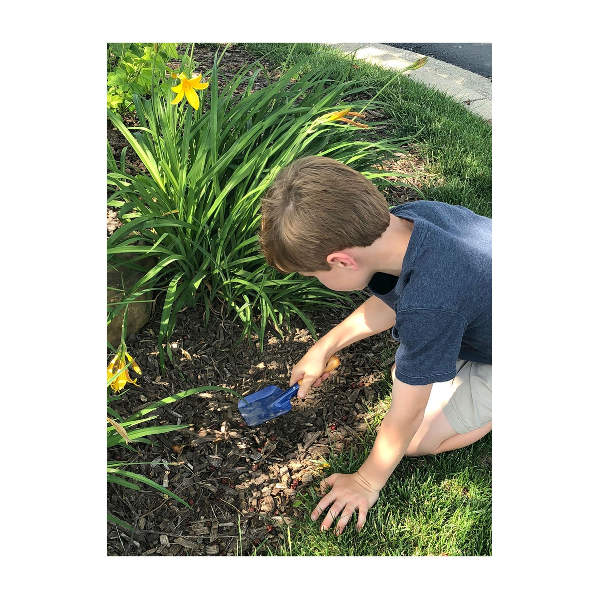 Small kids square trowel with bright primary color being used by a child in a garden.