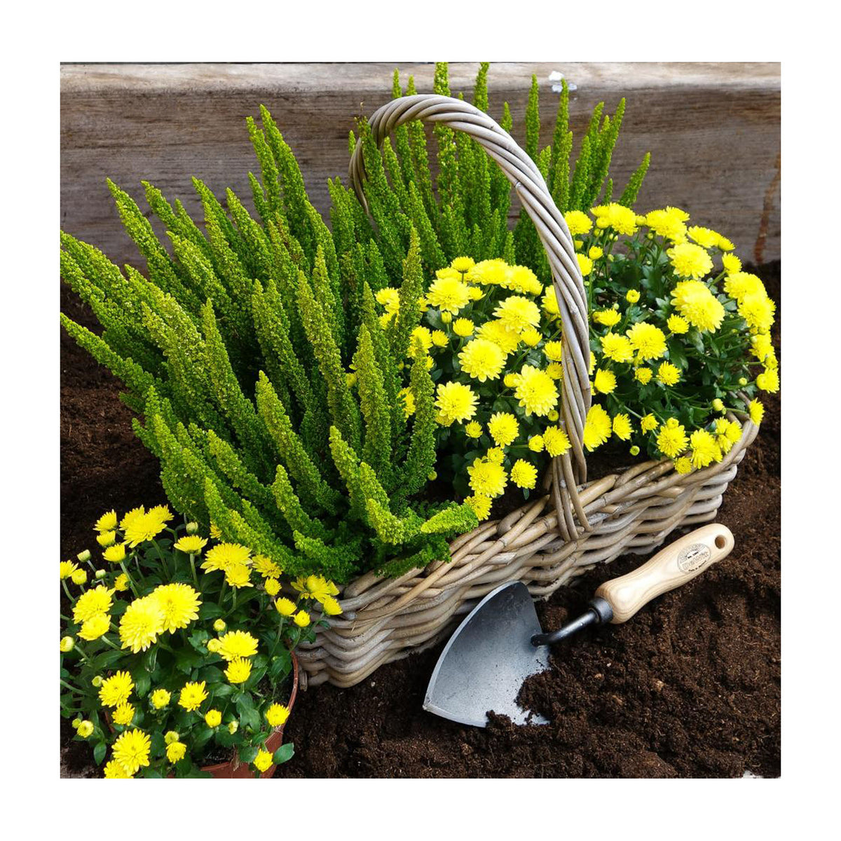 DeWit Trowel - Potting - Garden Your Way 