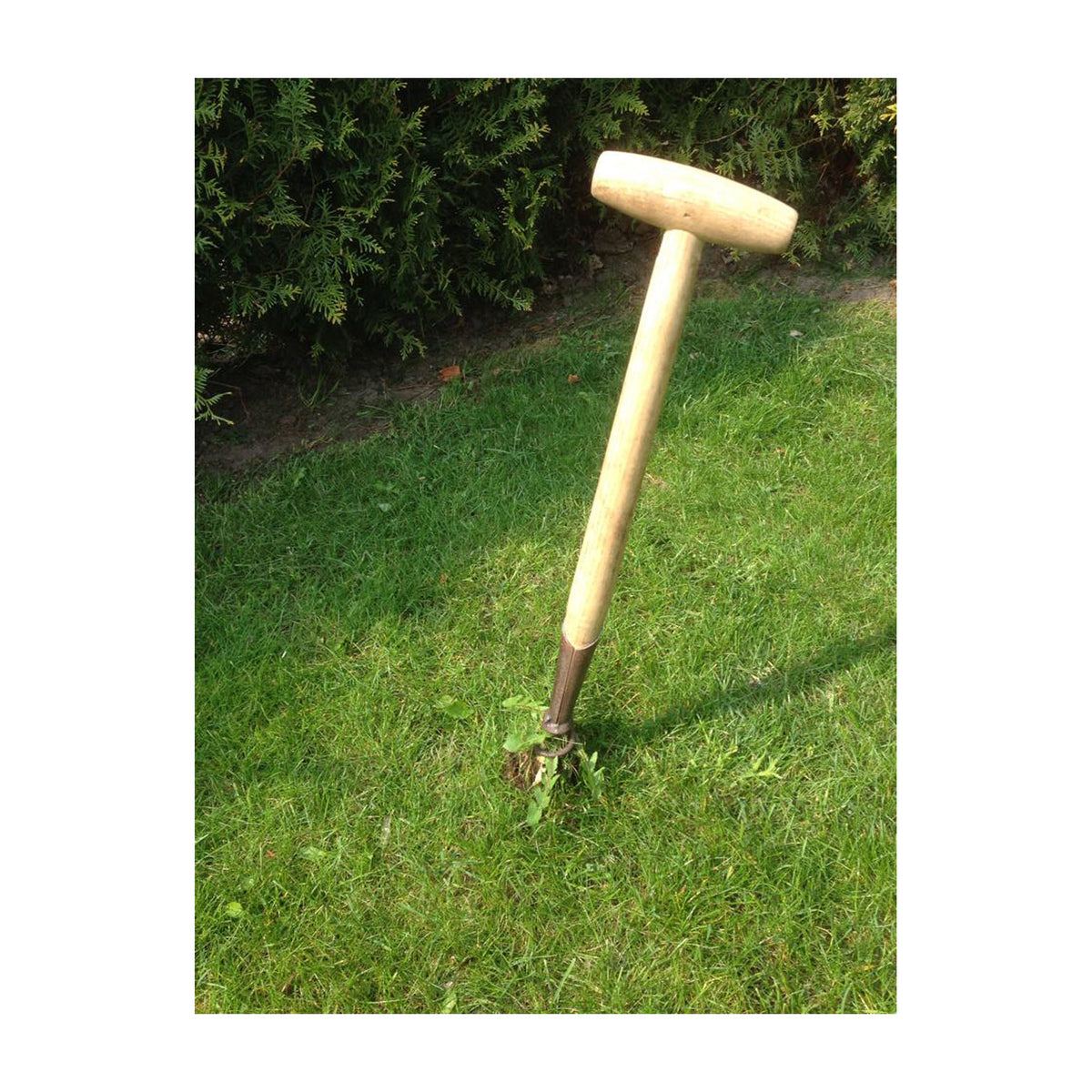 DeWit Weeder - Corkscrew - Garden Your Way 