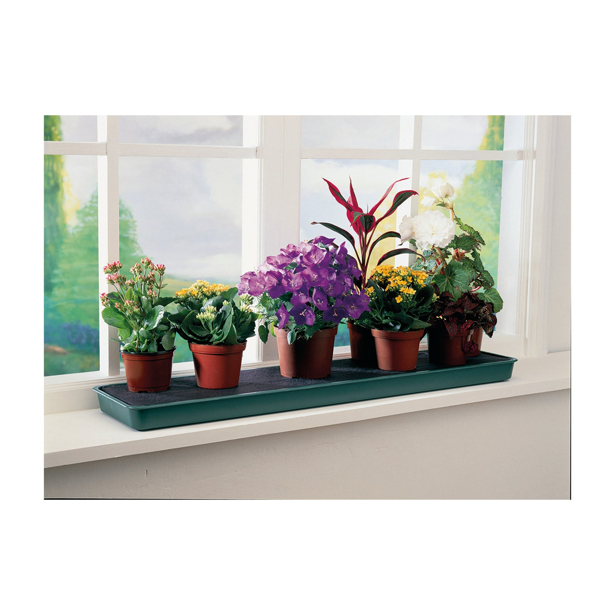 Green self-watering windowsill tray with potted plants, 30&quot;x7&quot;x1.5&quot;, 1-gallon reservoir.