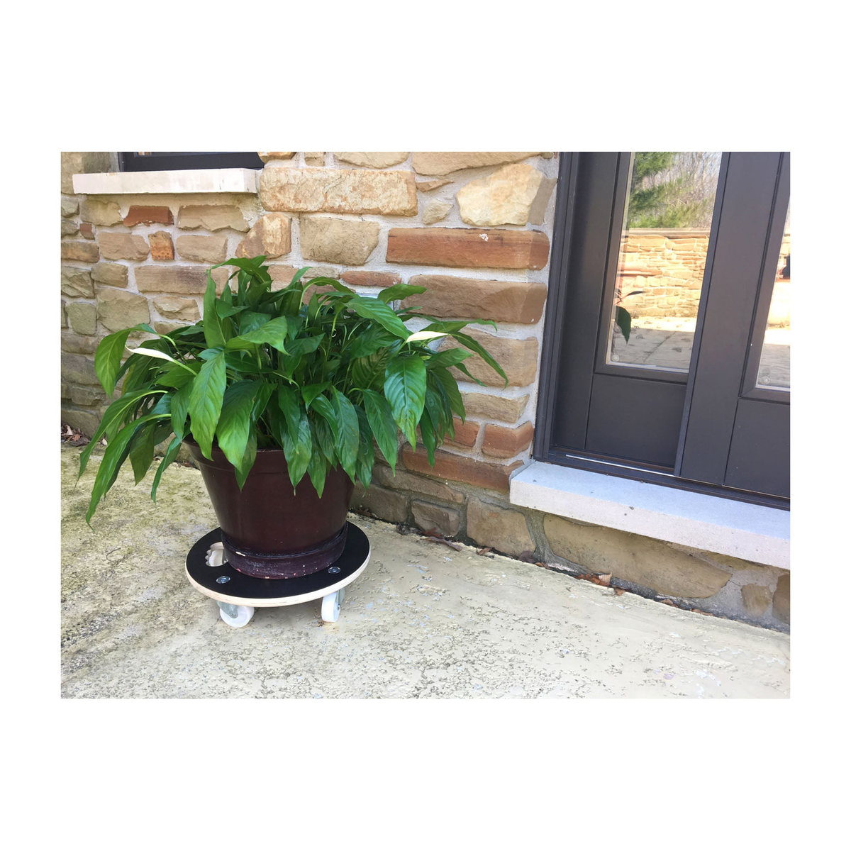 15&quot; Black Round MaxiGrip Indoor/Outdoor Plant Caddy with potted plant against stone wall