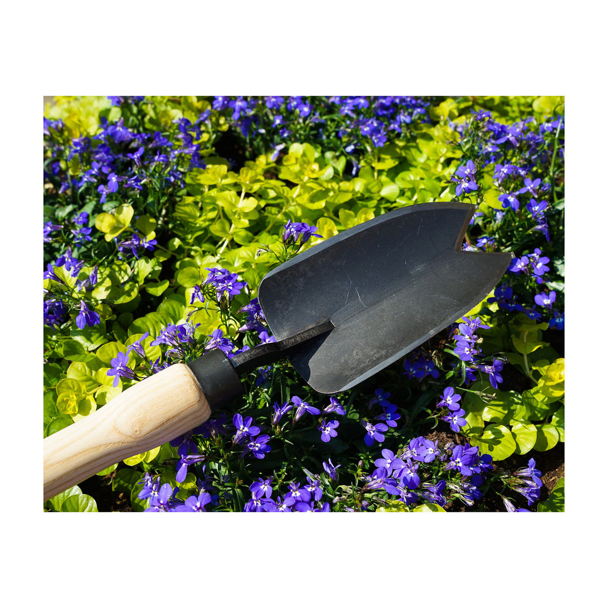 DeWit Large 2 Point Trowel, Head: 5.5&quot;L x 3&quot;W Total: 12.25&quot;L 0.5lbs