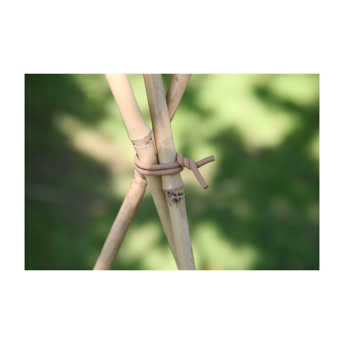 Soft-Tie securing plant stems with U.V. stabilized rubber coating and rust-resistant wire.