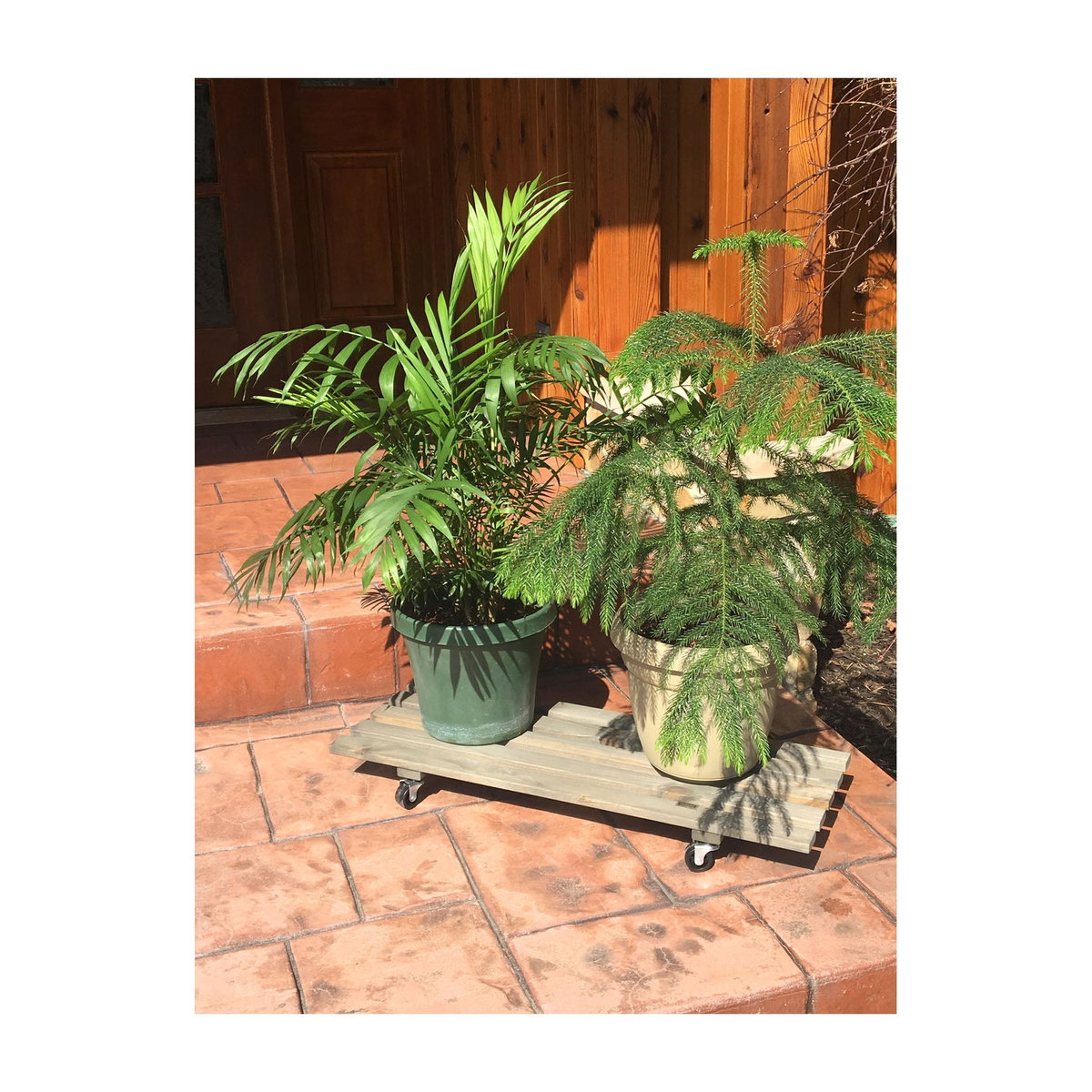 Rectangular Vintage Gray Indoor Wooden Plant Caddy with plants on casters outdoors.