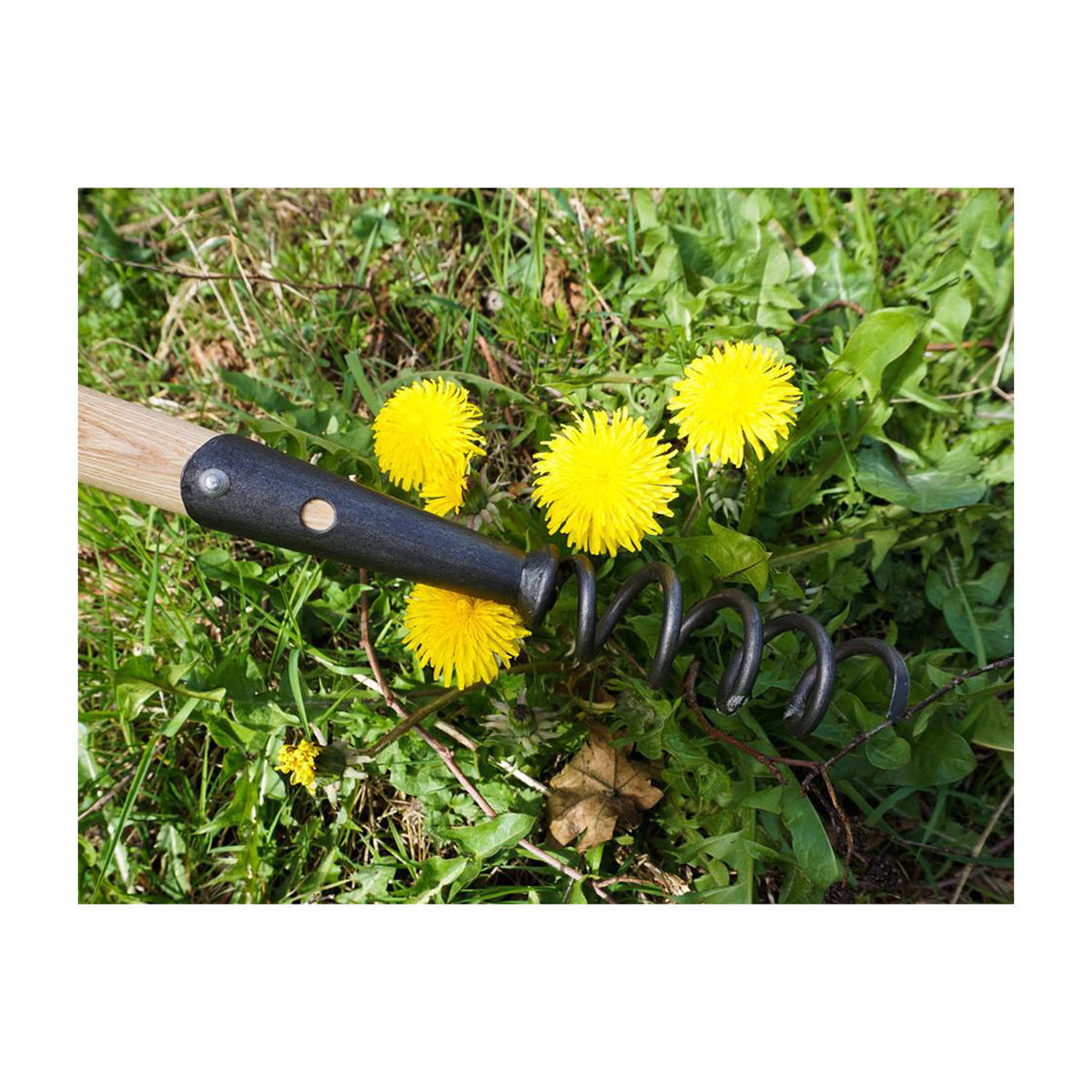 DeWit Weeder - Corkscrew Long Handle - Garden Your Way 