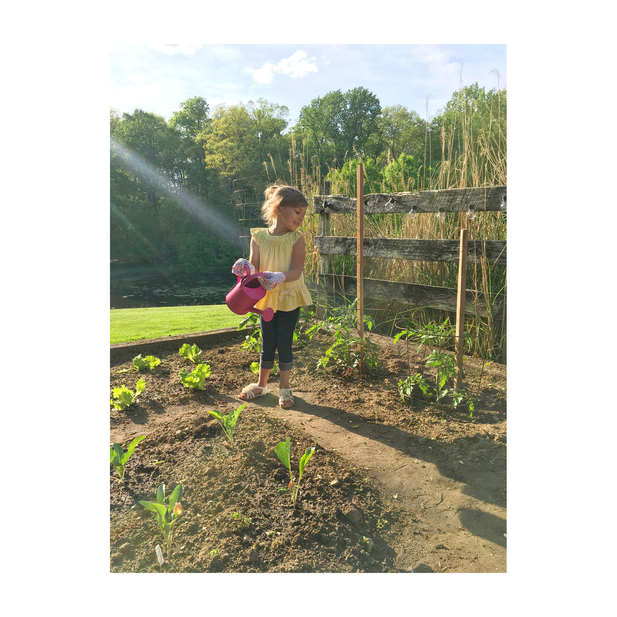 Little Pals Kids Pink Watering Can Kit w/Trowel &amp; Gloves - Garden Your Way 