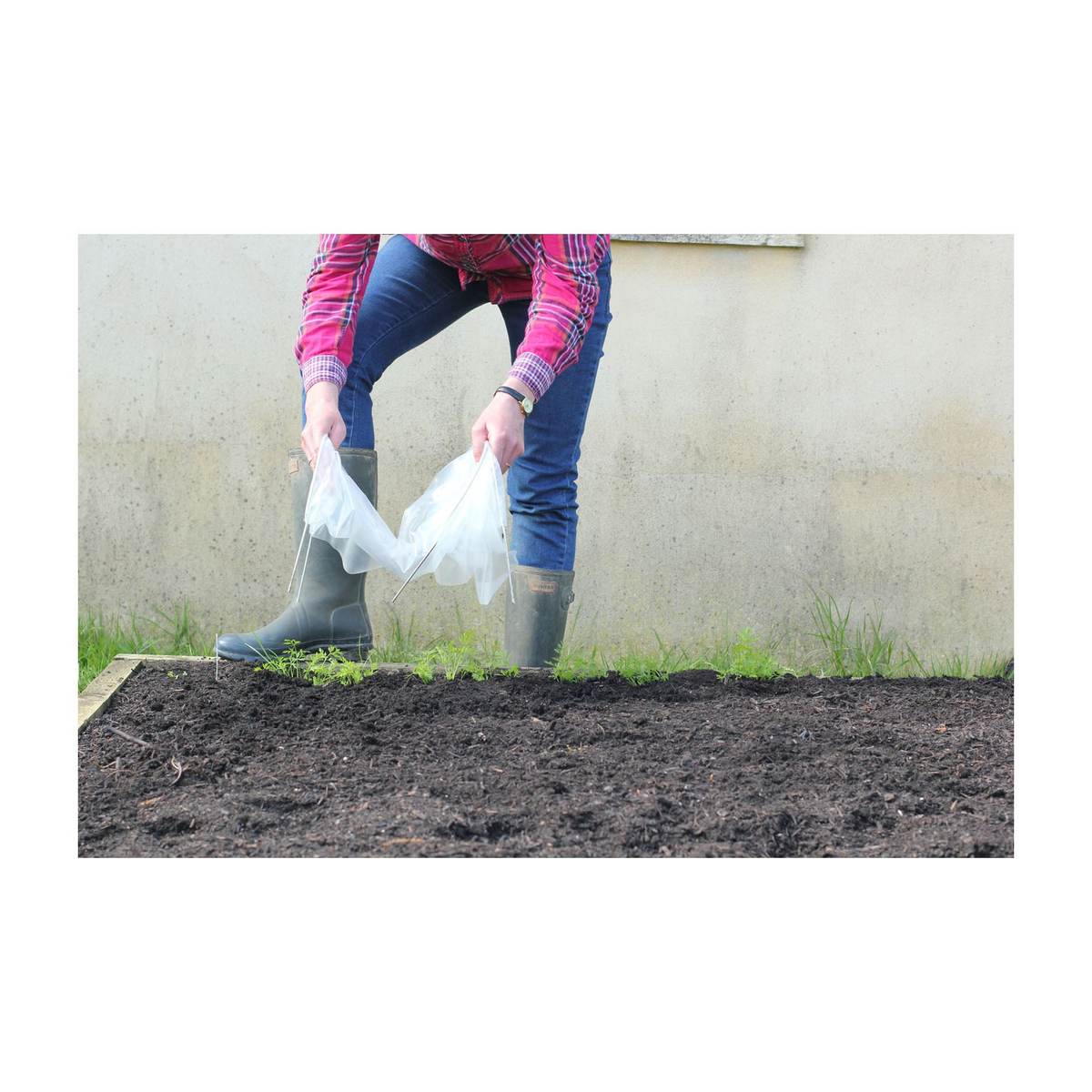 Gardener installing Easy Seedling Tunnel over soil to protect seedlings.