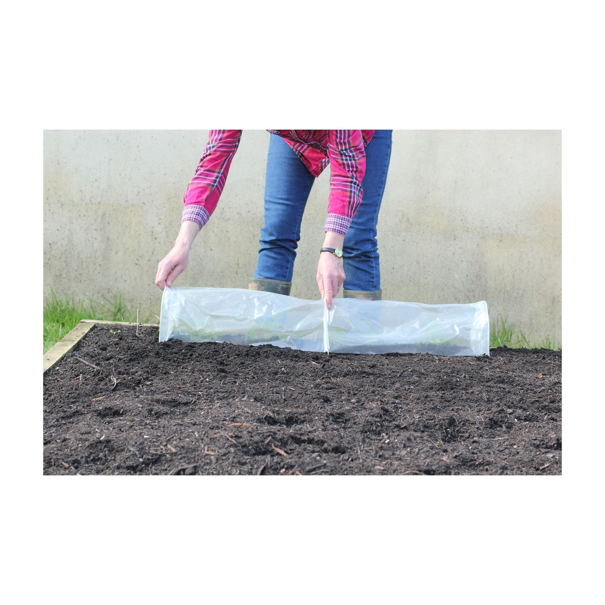 Easy Seedling Tunnel installation over soil for seedling protection and growth.