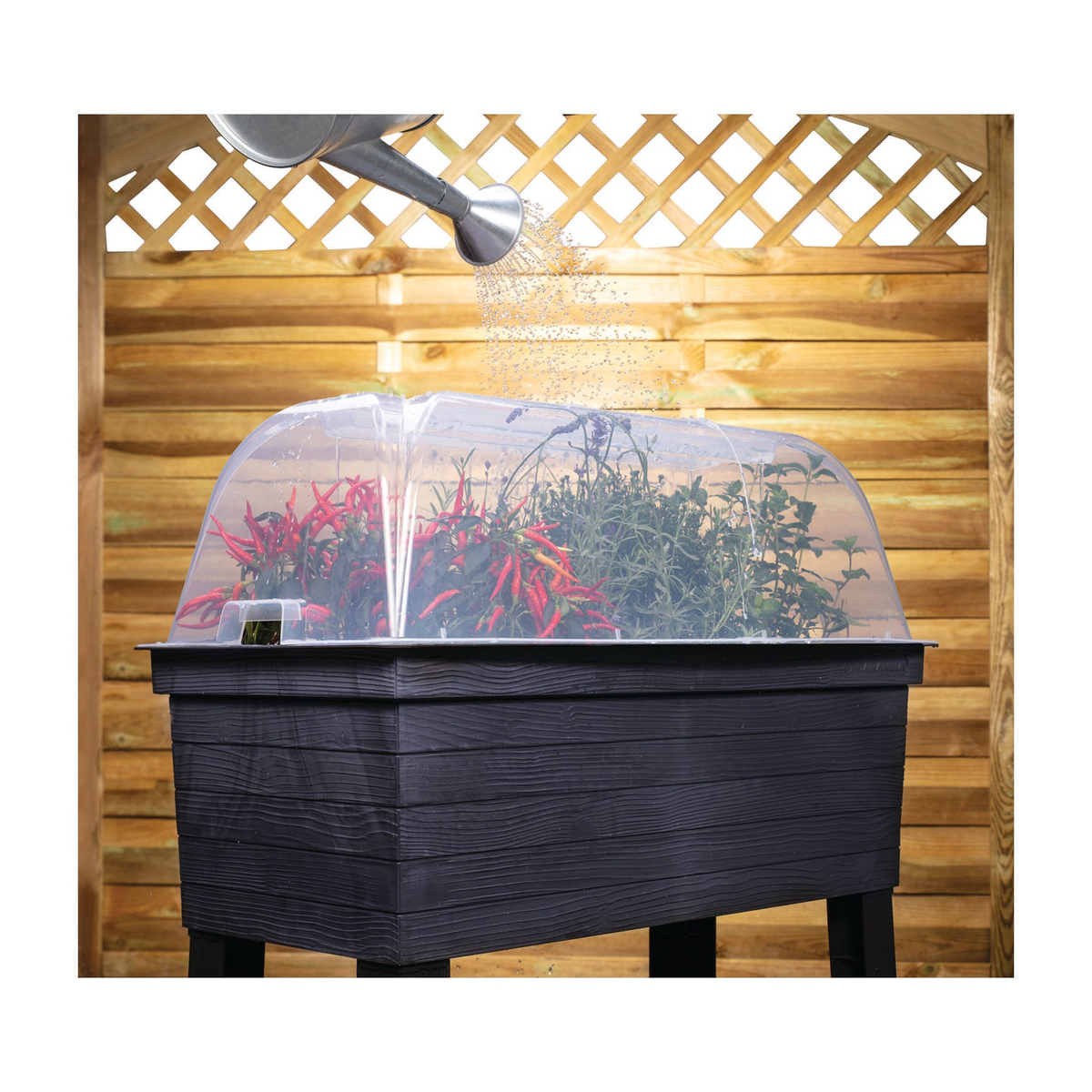 Urban balcony raised garden flower bed with cloche cover for herbs, vegetables, and flowers.