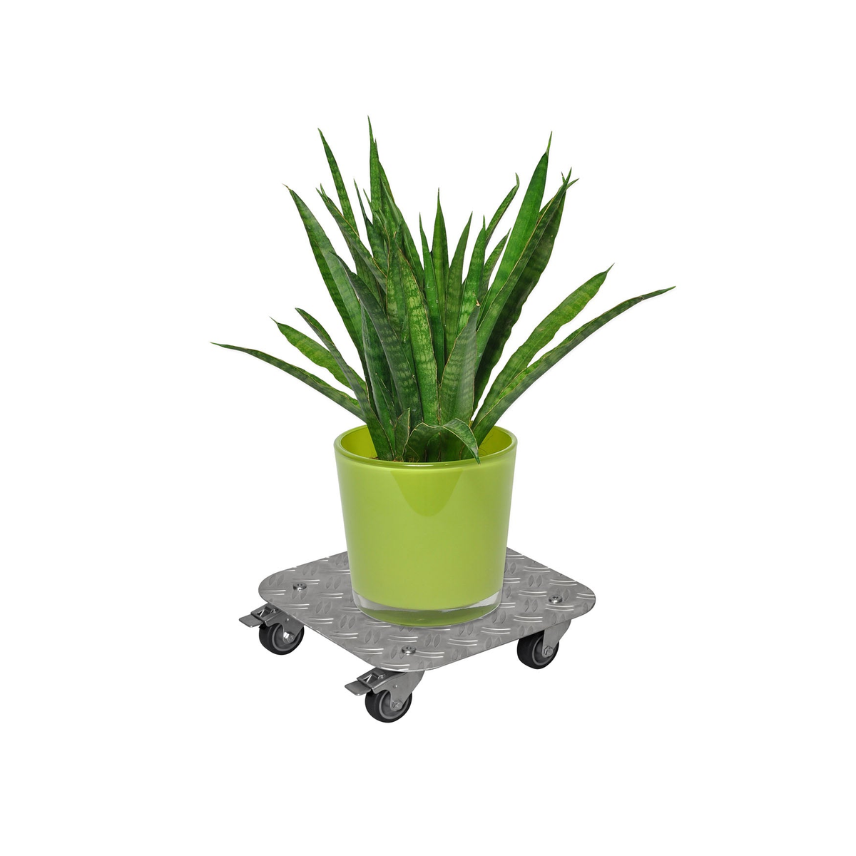 11.4&quot; silver square diamond plated aluminum plant caddy with brakes and soft casters holding a potted plant.