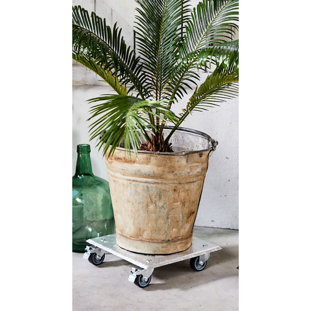 18.5&quot; silver square diamond plated aluminum plant caddy with palm plant on caster wheels.