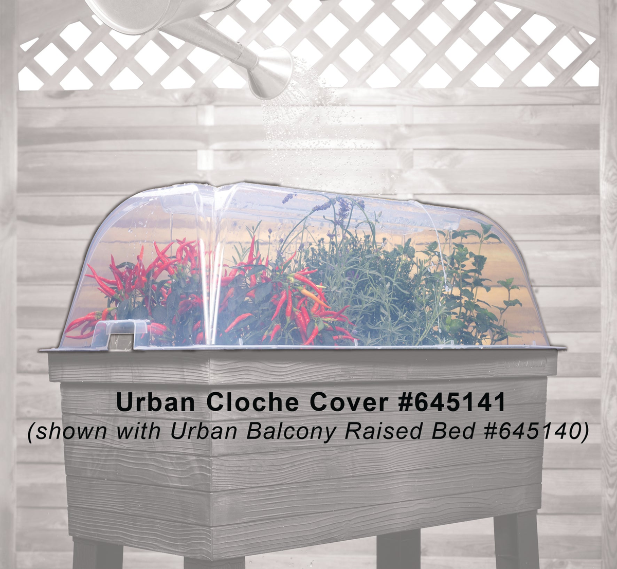 Urban Balcony Raised Garden Flower Bed Cloche Cover on raised bed with transparent design and plant growth.