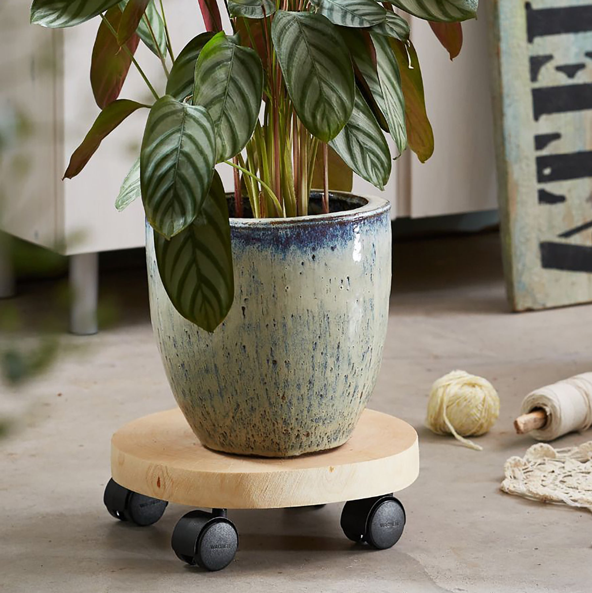 Round natural birch wooden plant caddy with twin wheel swivel casters, 9.8&quot;-11.8&quot; diameter, designed for indoor use.