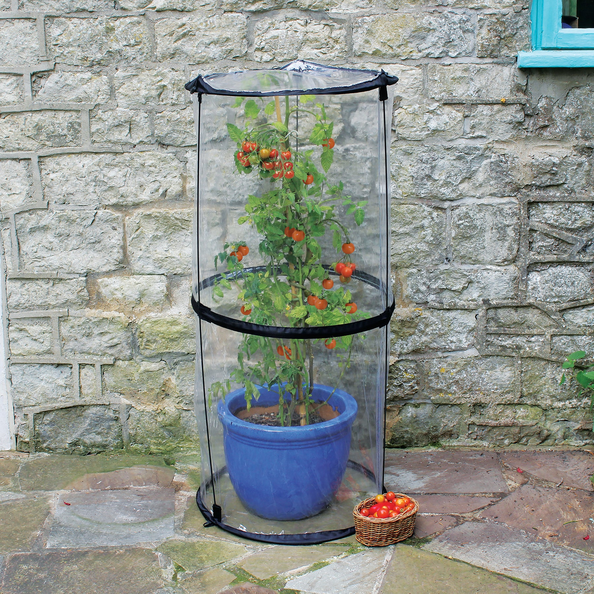 Tomato Cloche for plant protection, 19&quot; diameter x 43&quot; height, lightweight and easy setup.