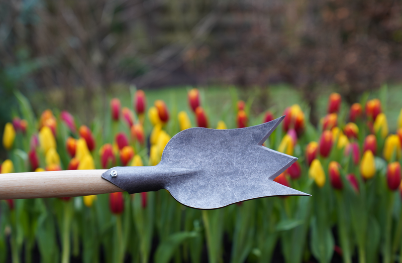 DeWit Tulip Spade with long T-handle in front of tulip garden background.