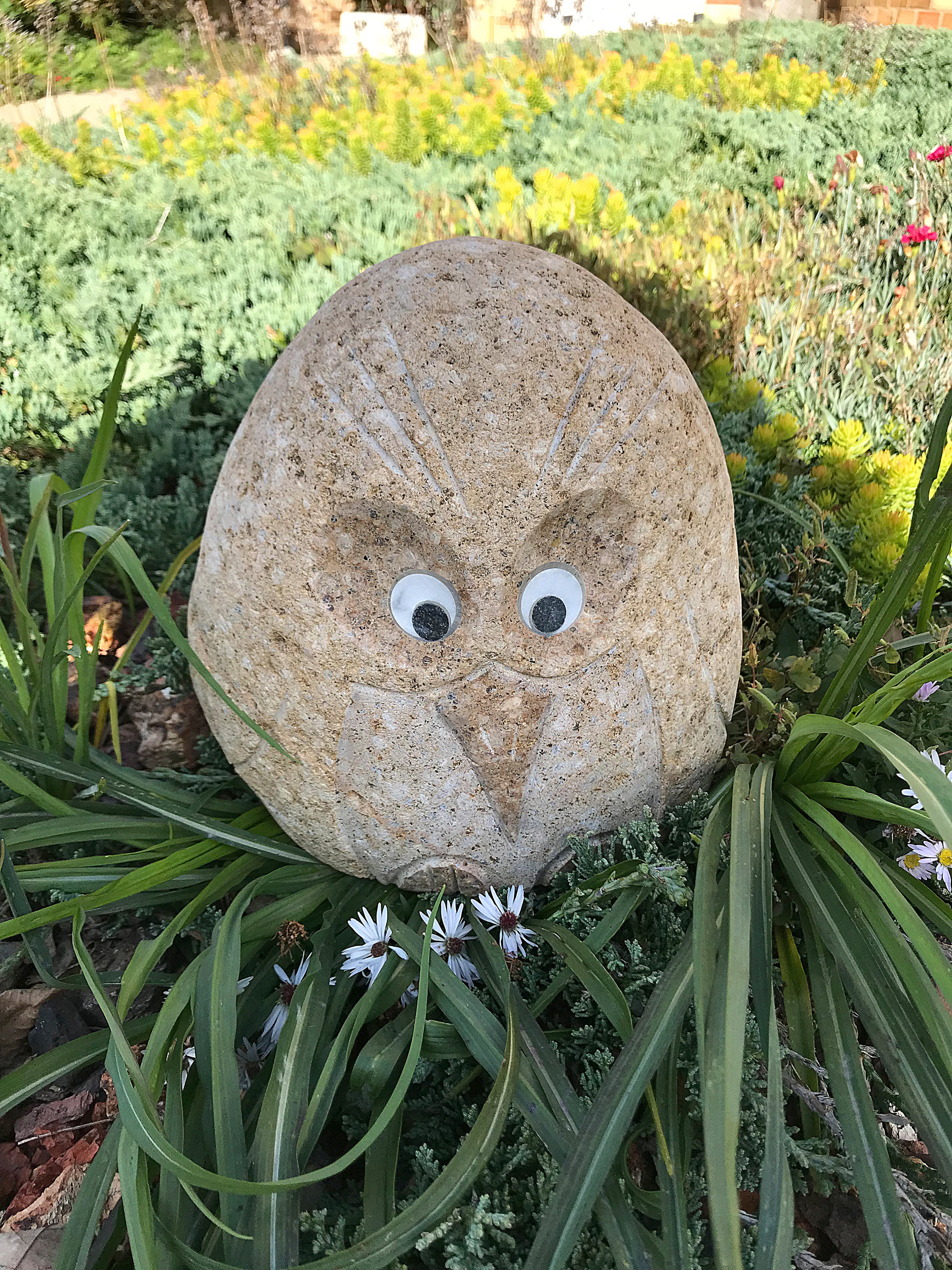 Hand Carved Natural Granite 8"H Angry Bird Stone Sculpture in Garden