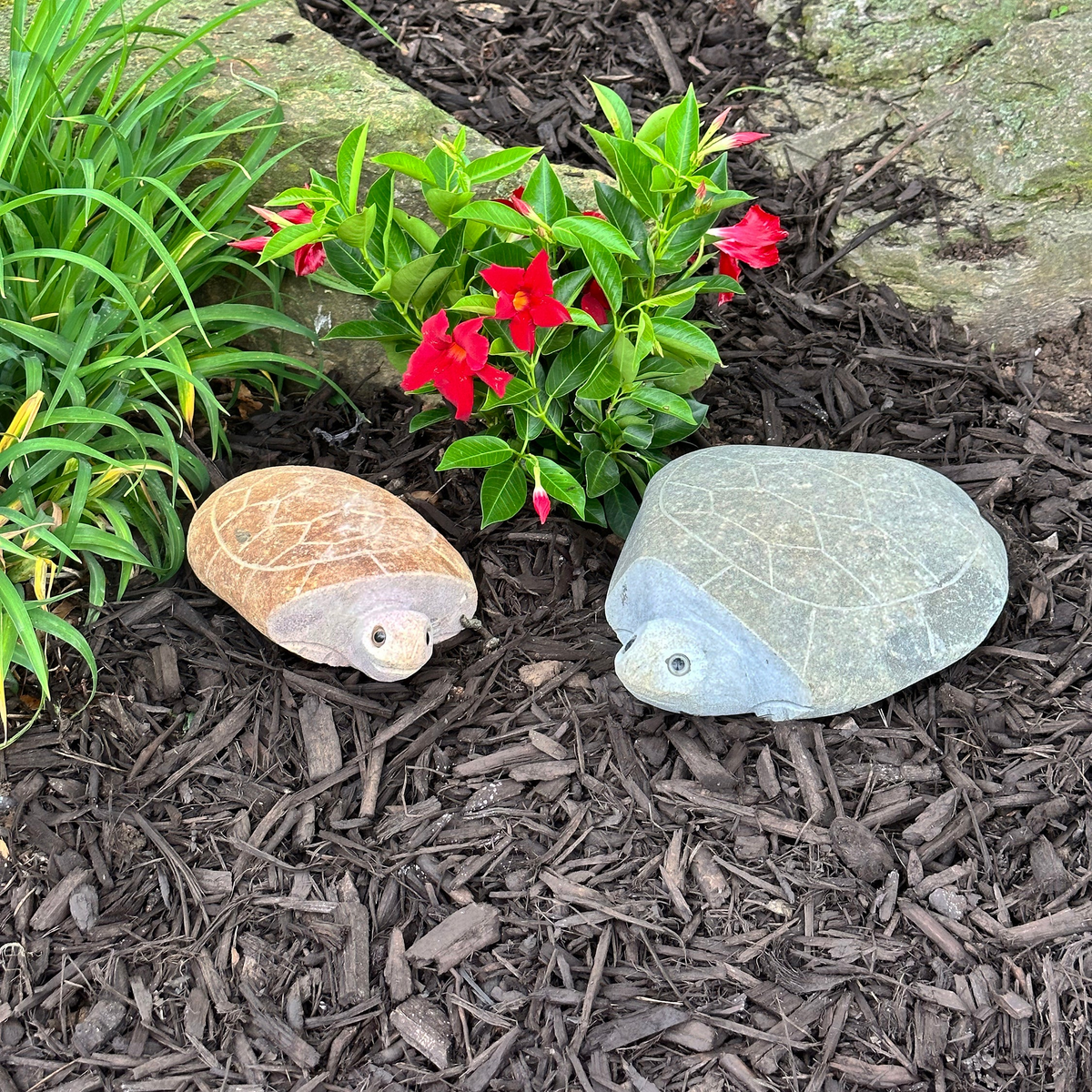 Hand-carved natural granite boulder stone turtle set in a garden setting.