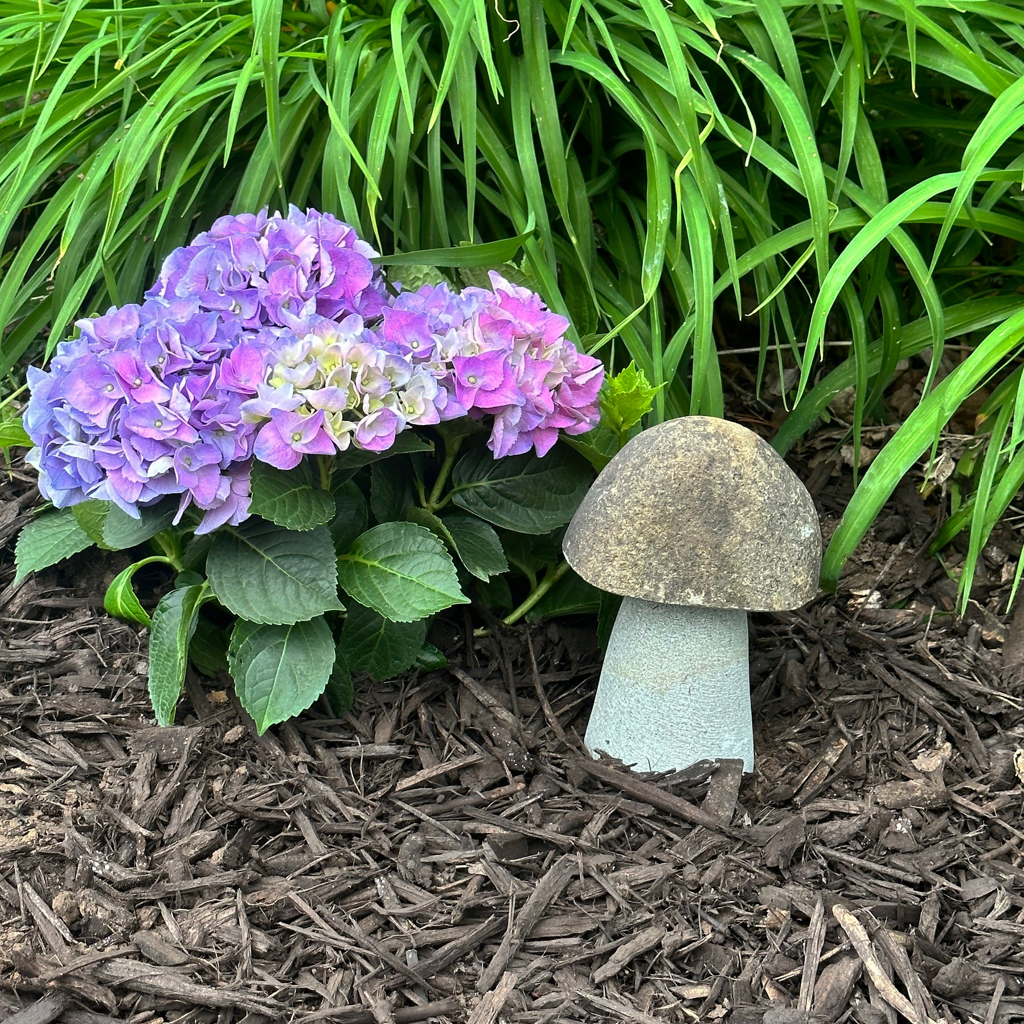 Hand carved natural granite mushroom stone, garden decor, 8 inches tall.