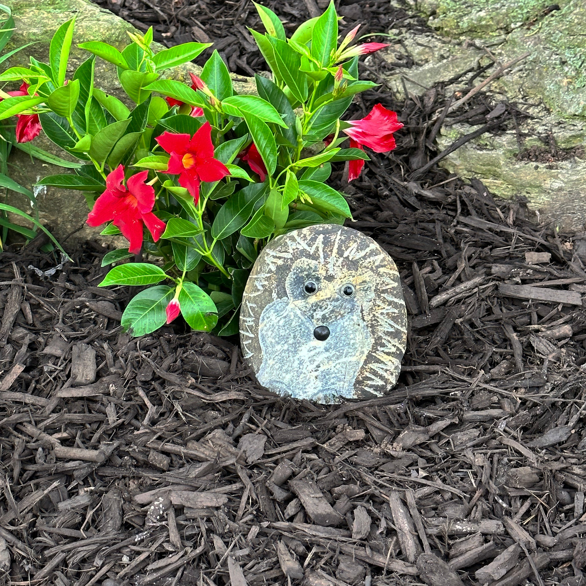 Hand-carved natural granite boulder stone hedgehog statue in garden setting.