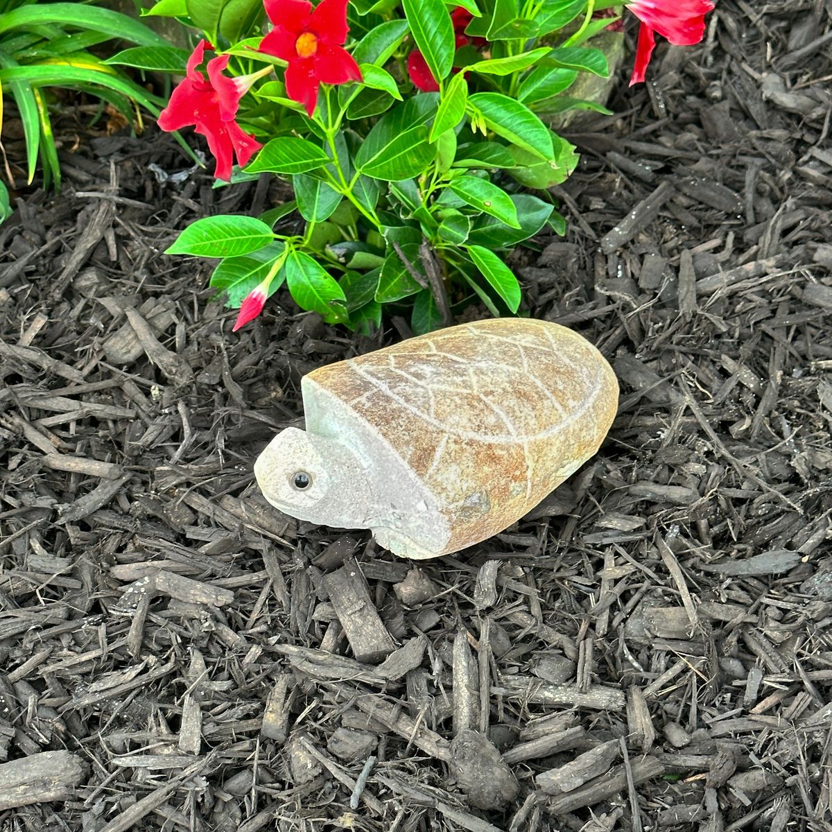 Hand carved natural granite boulder stone turtle in garden setting.