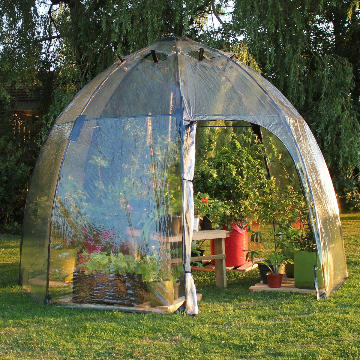 Standard Sunbubble walk-in greenhouse in a garden setting, made with UV-stabilized PVC and fiberglass rods, featuring a dome shape and zippered doorway.