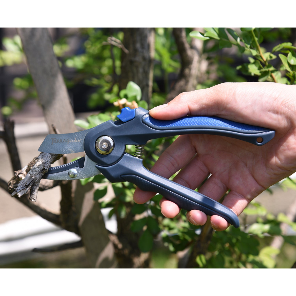 Stainless steel anvil pruner with TPR handle in use for garden trimming.