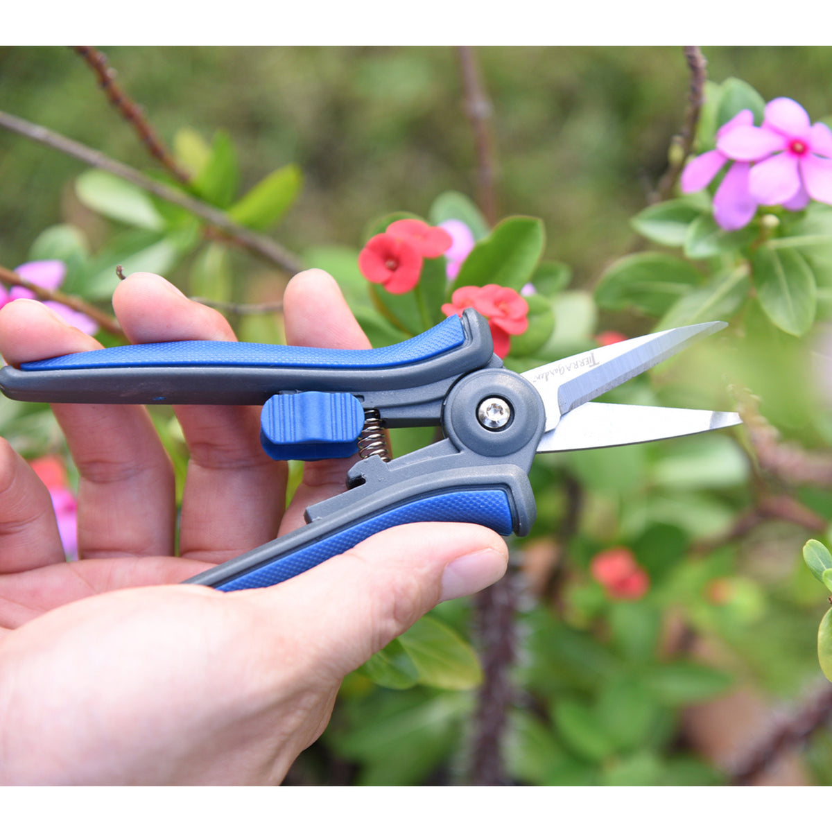 Stainless Steel Floral Pruner with TPR Handle - Garden Your Way 