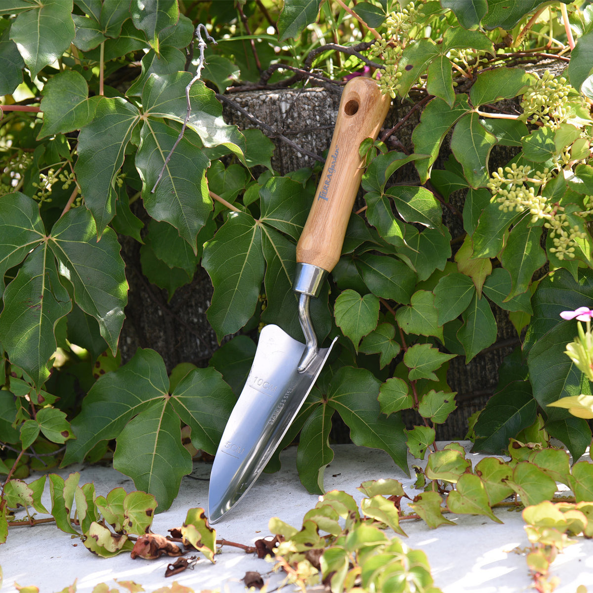 Stainless Steel Transplanter with Bamboo Handle - Garden Your Way 