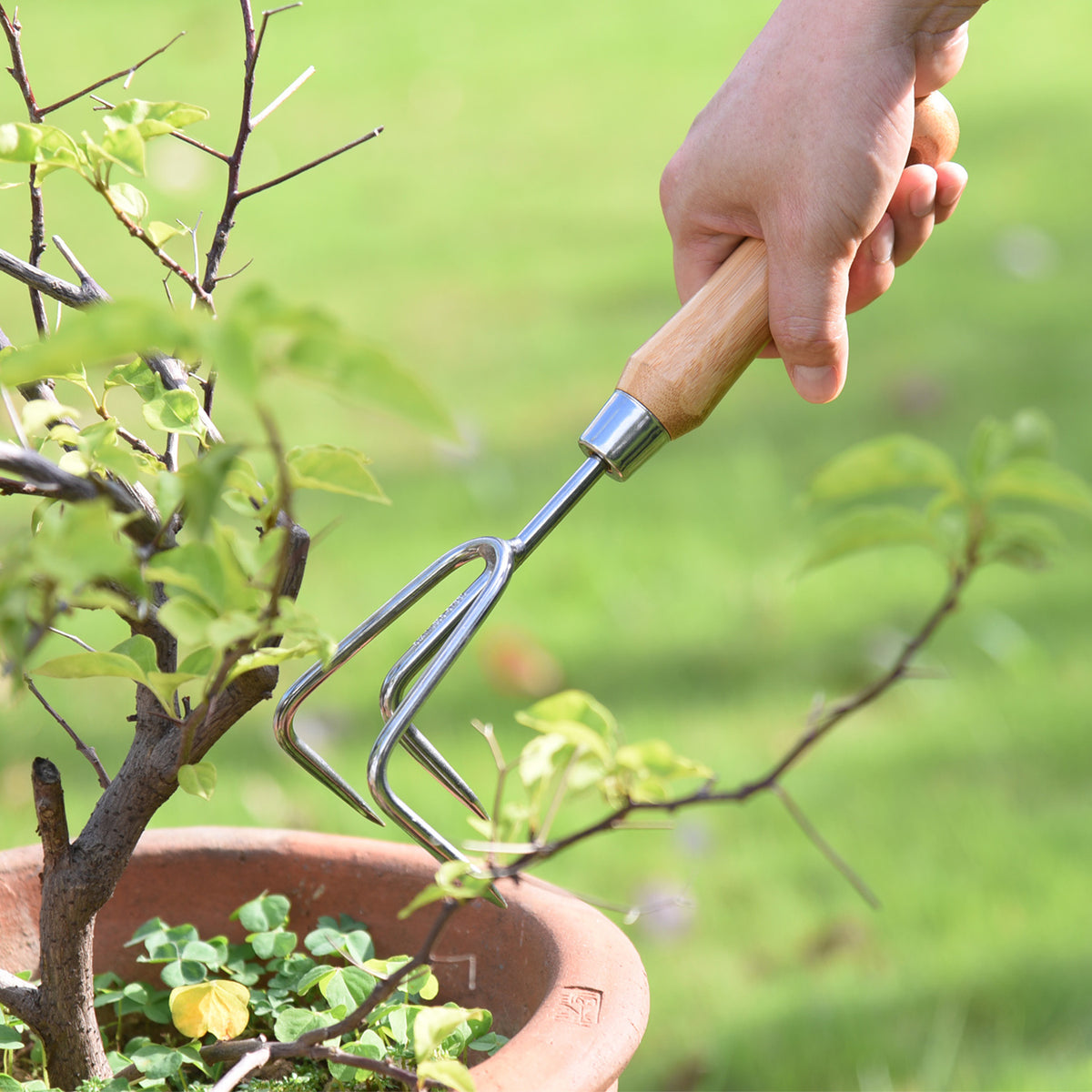 Stainless Steel Cultivator with Bamboo Handle - Garden Your Way 