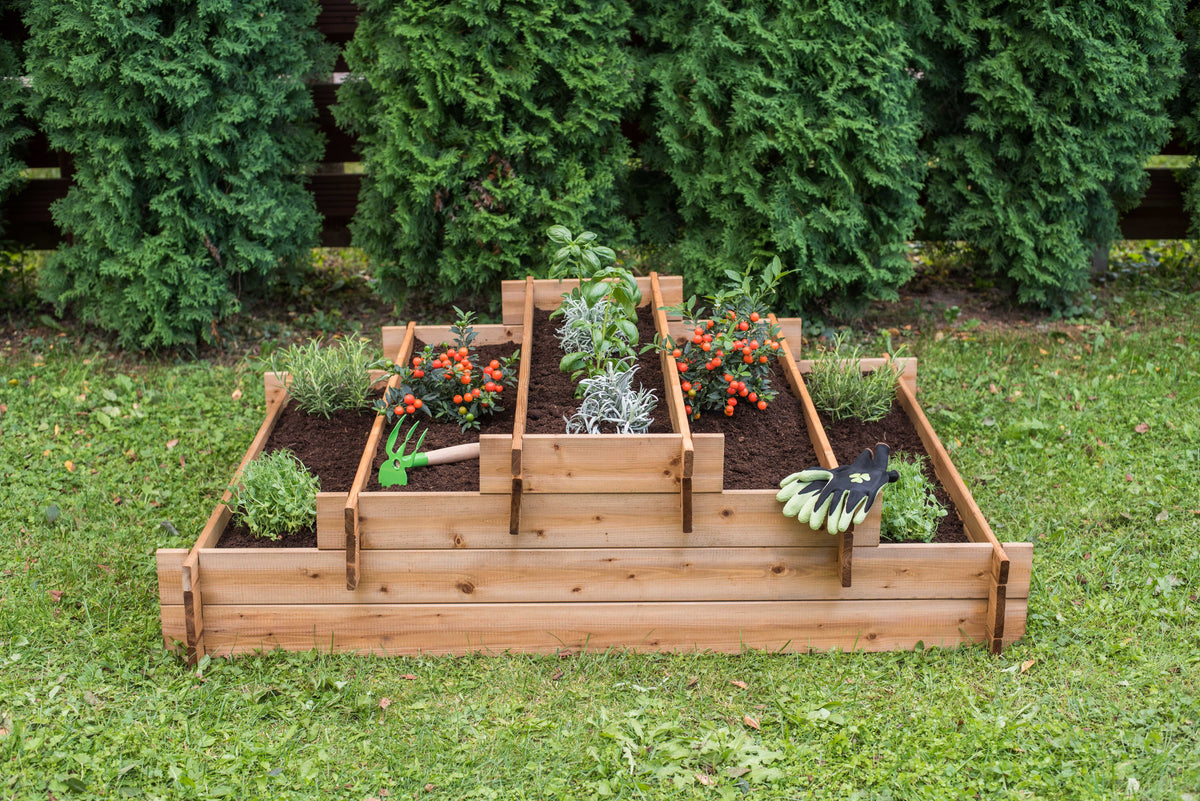 Tiered wooden raised garden bed with five sections, 55 inches long, on lush grass with plants and gardening tools.