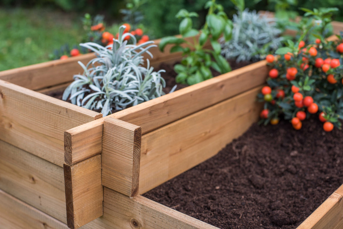 Tiered wooden raised garden bed with plants, 55&quot; long.